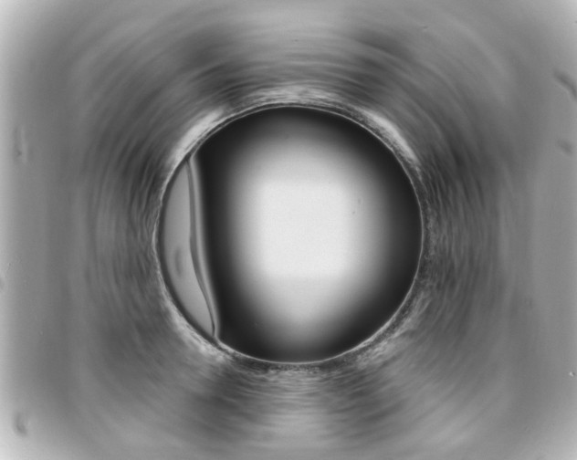 X0000094440946200711081022