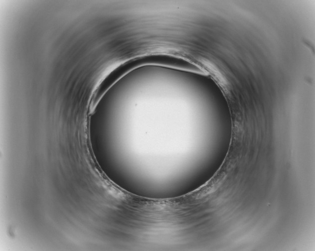 X0000094440948200711081022