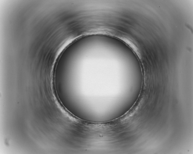 X0000094440949200711081022