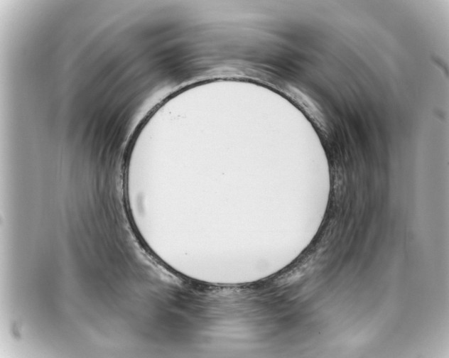 X0000094440950200711081022