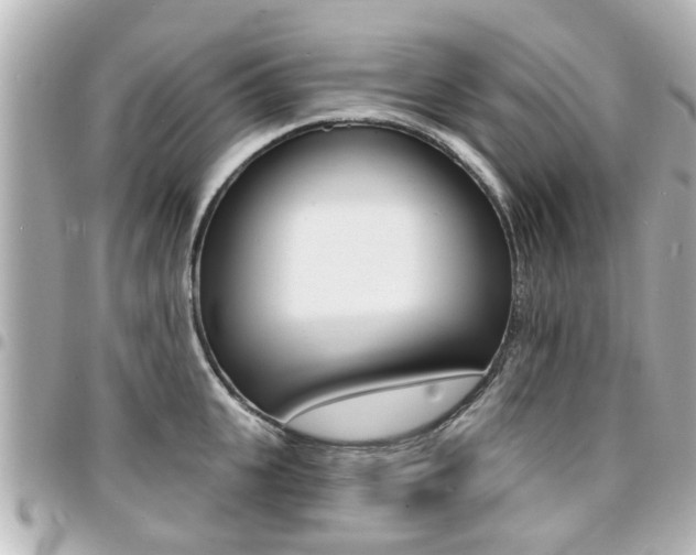 X0000094440951200711081022