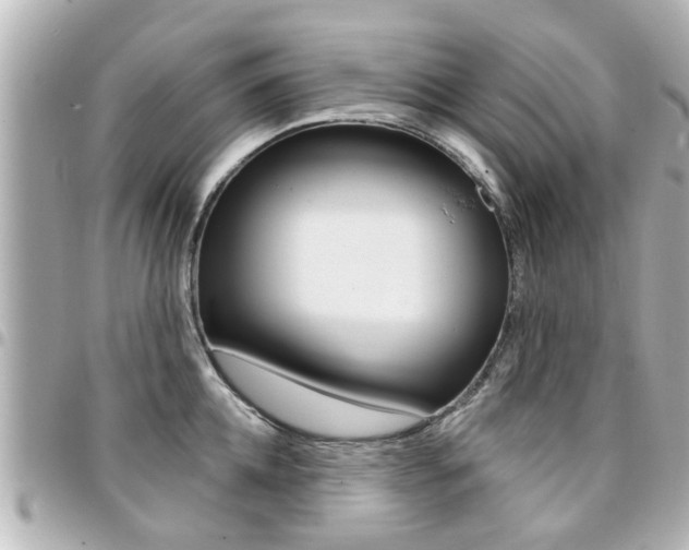 X0000094440952200711081022