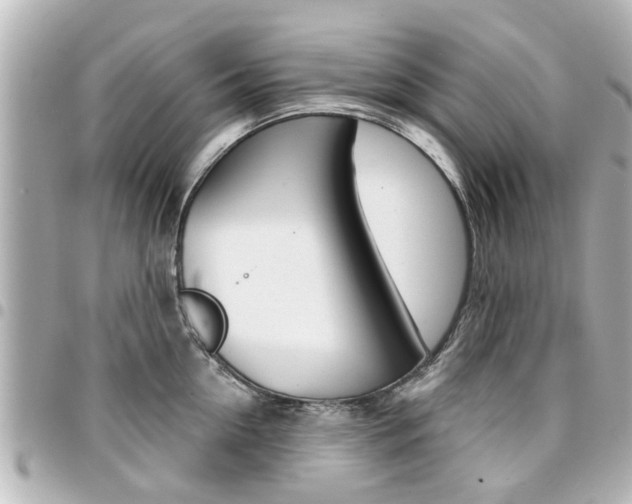 X0000094440954200711081022