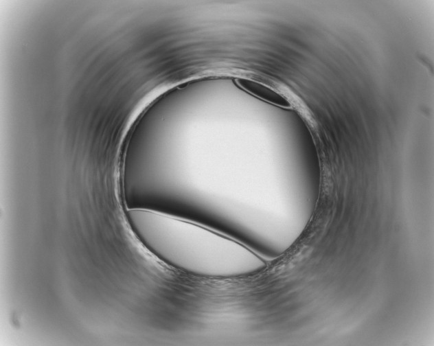 X0000094440955200711081022
