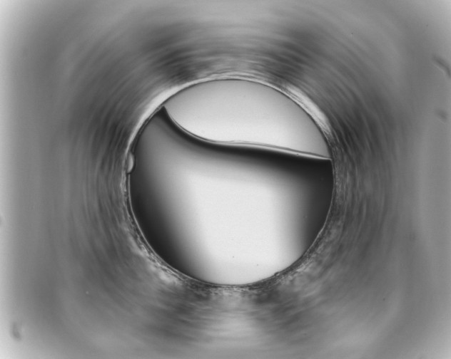 X0000094440956200711081022