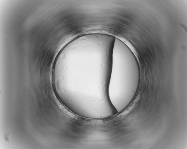X0000094440957200711081022