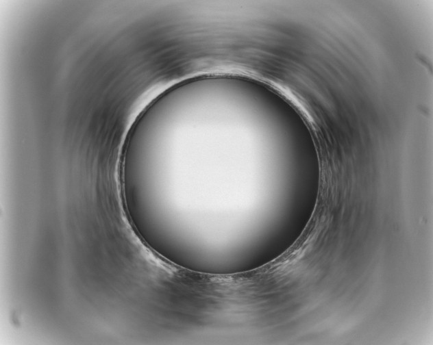 X0000094440959200711081022