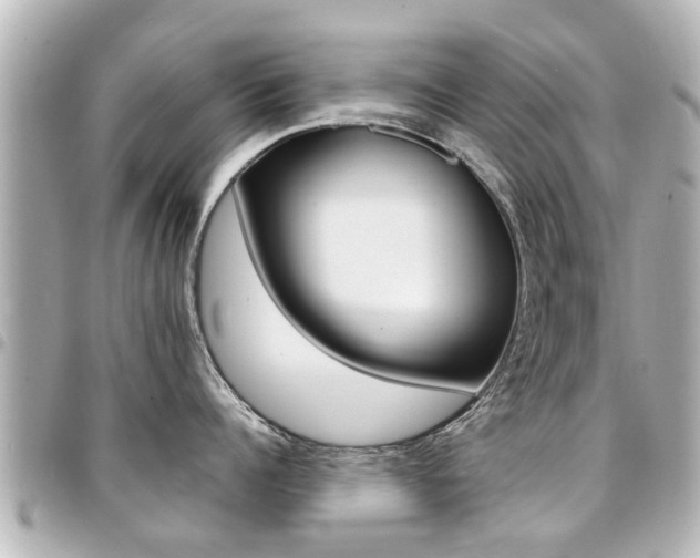 X0000094440960200711081022