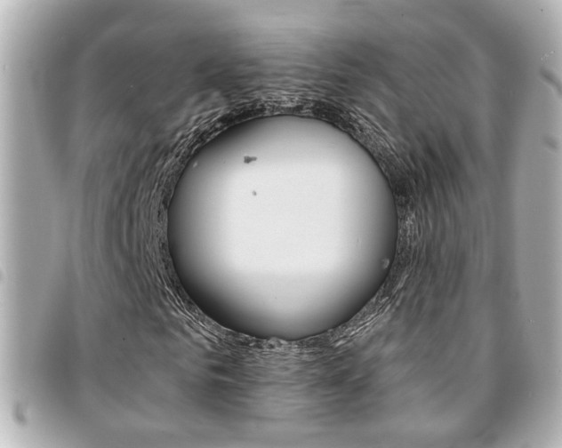 X0000094440961200711081022