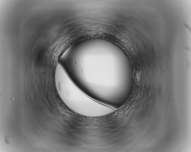 X0000094440963200711081022
