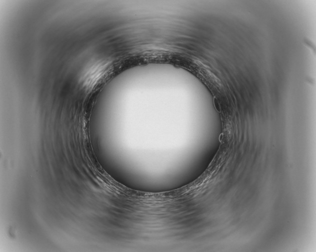 X0000094440964200711081022
