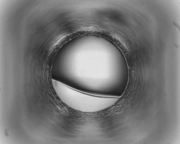 X0000094440968200711081022