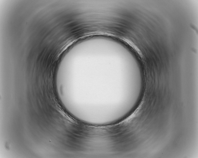 X0000094440969200711081022