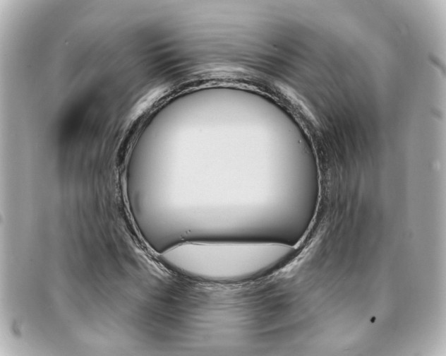 X0000094440970200711081022