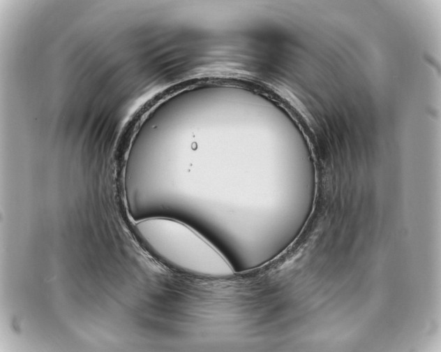 X0000094440971200711081022