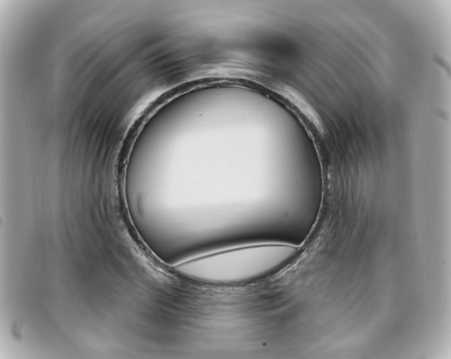 X0000094440972200711081022