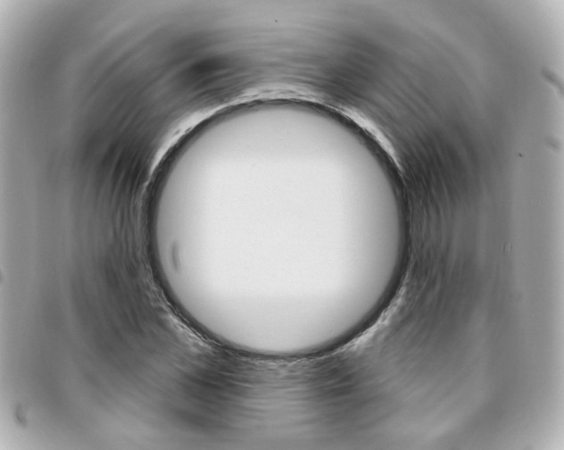 X0000094440973200711081022