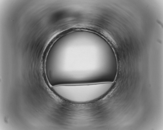 X0000094440976200711081022