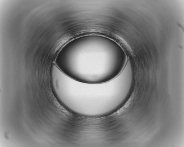 X0000094440977200711081022