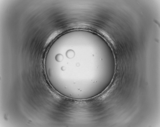 X0000094440978200711081022
