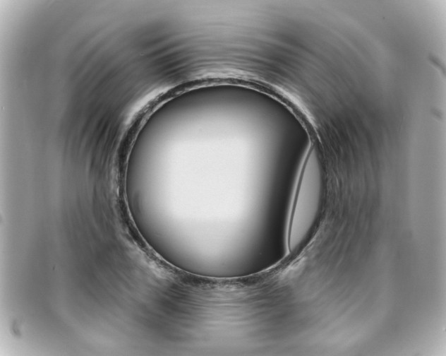 X0000094440979200711081022