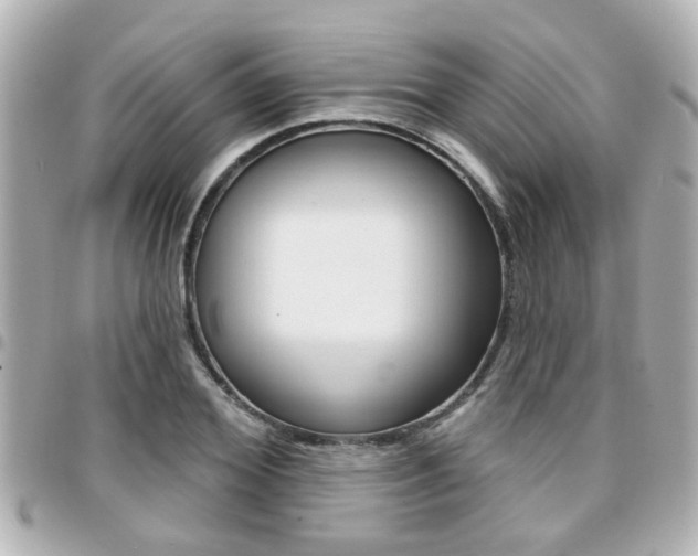 X0000094440980200711081022