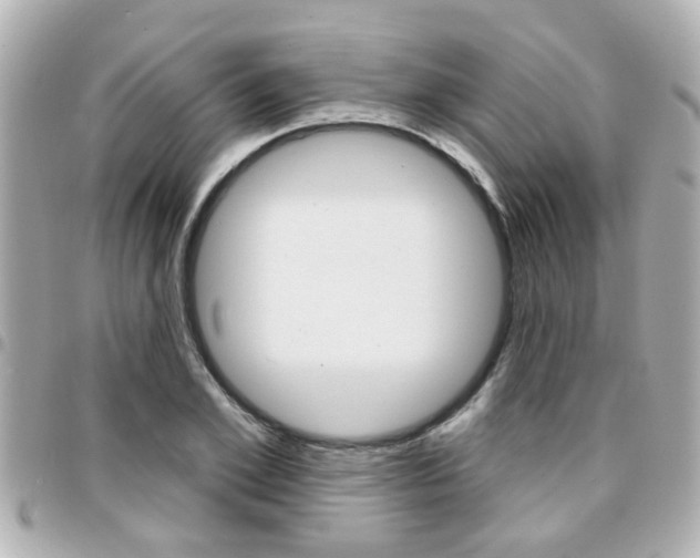 X0000094440981200711081022
