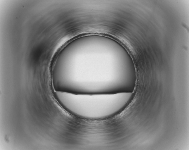 X0000094440982200711081022