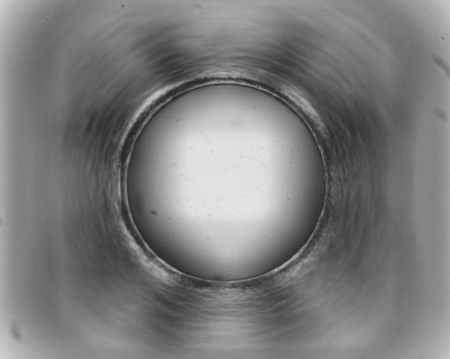 X0000094440984200711081022