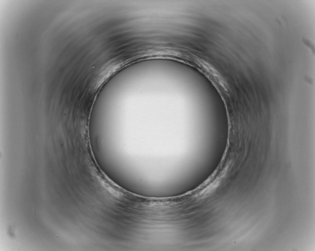 X0000094440985200711081021