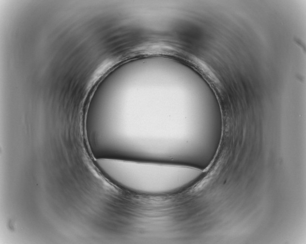 X0000094440986200711081021
