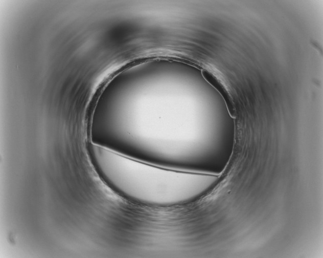 X0000094440987200711081021