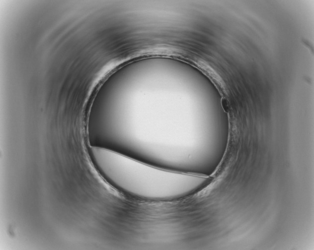 X0000094440989200711081021
