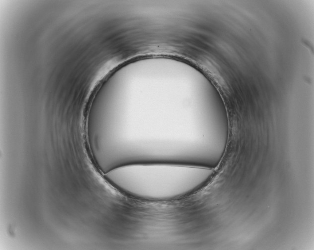 X0000094440990200711081021