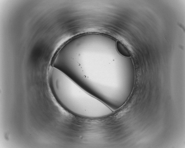 X0000094440991200711081021