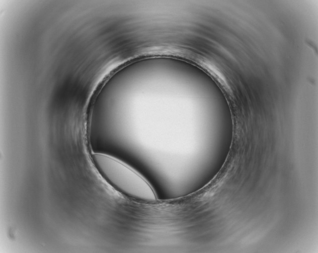X0000094440992200711081021
