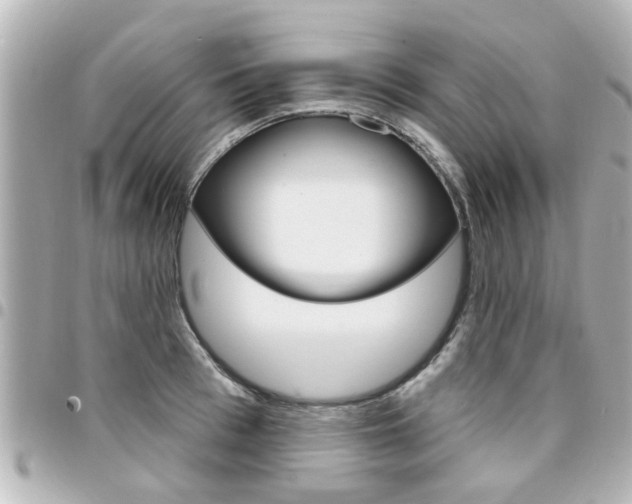 X0000094440993200711081021