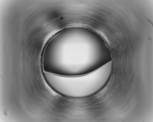 X0000094440995200711081021