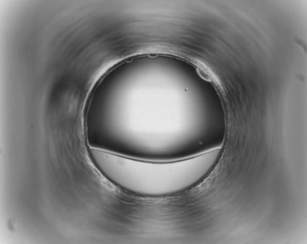 X0000094440996200711081021