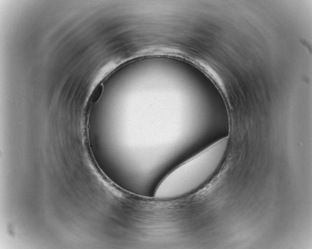 X0000094440997200711081021