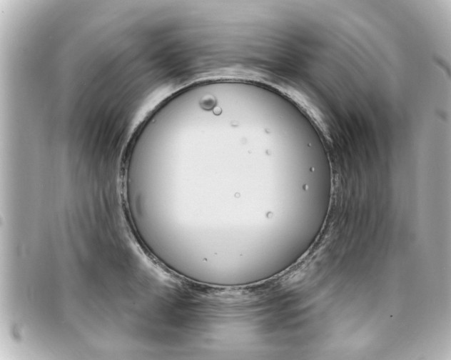 X0000094440998200711081021
