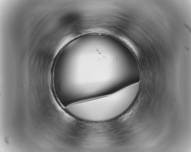X0000094440999200711081021