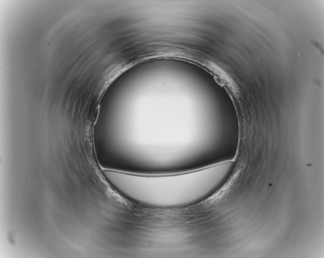 X0000094441001200711081021