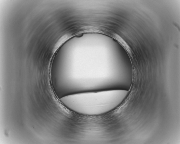 X0000094441002200711081021