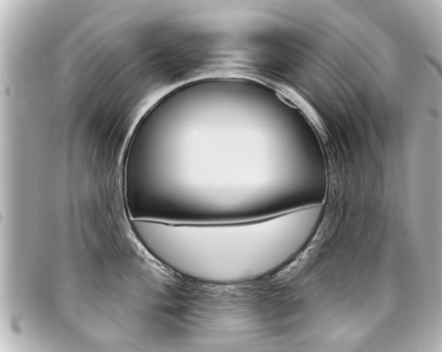 X0000094441004200711081021