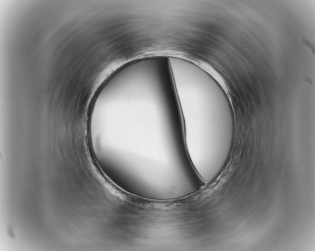 X0000094441005200711081021