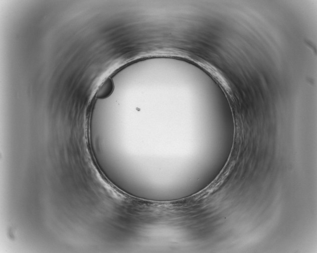 X0000094441006200711081021