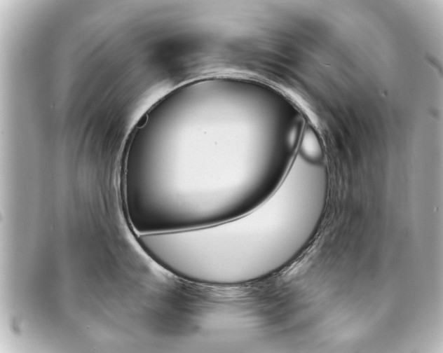 X0000094441007200711081021