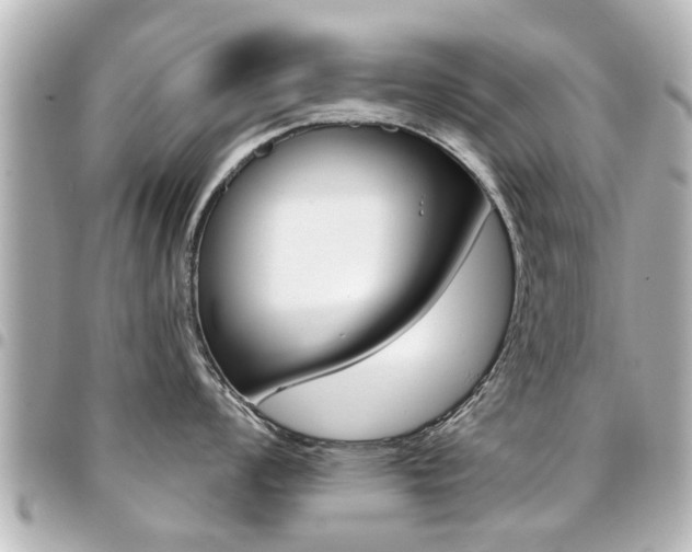 X0000094441008200711081021