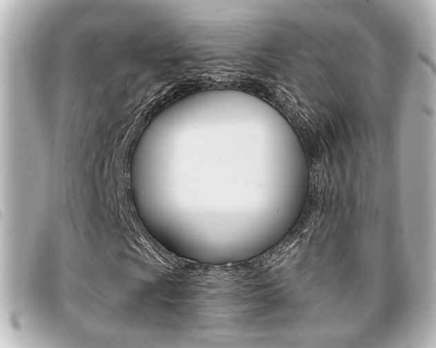 X0000094441009200711081021